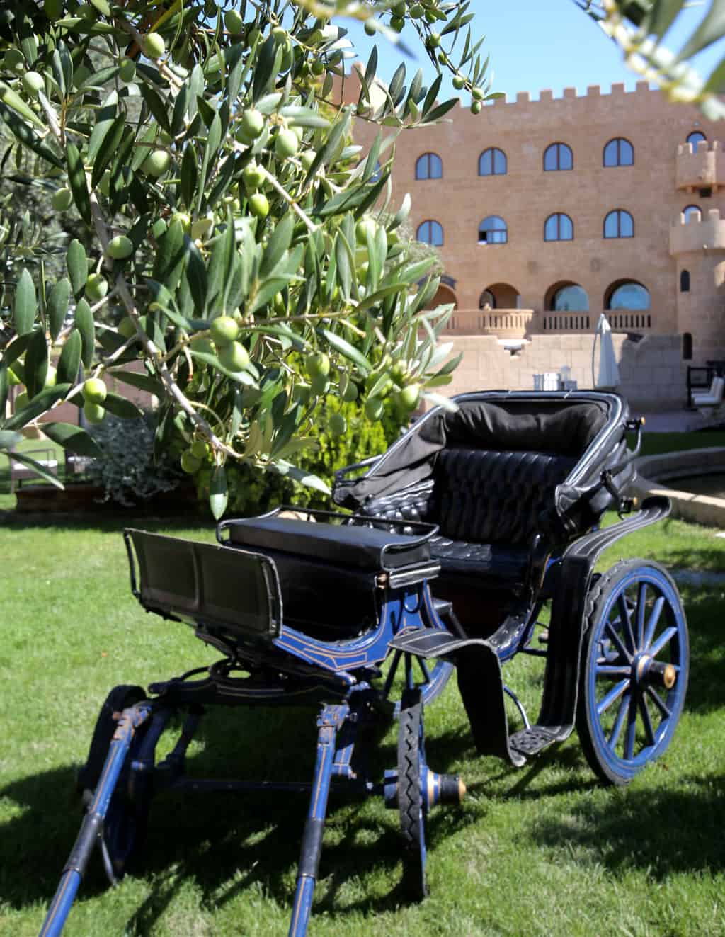Carruaje y jardines de la Finca de la Reina. Hotel Castillo Bonavia