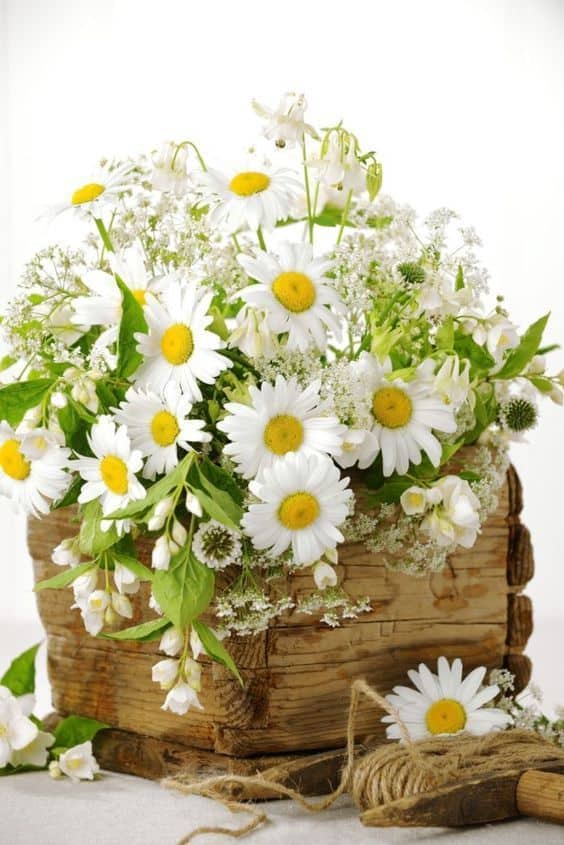 decorar una boda con margaritas-1