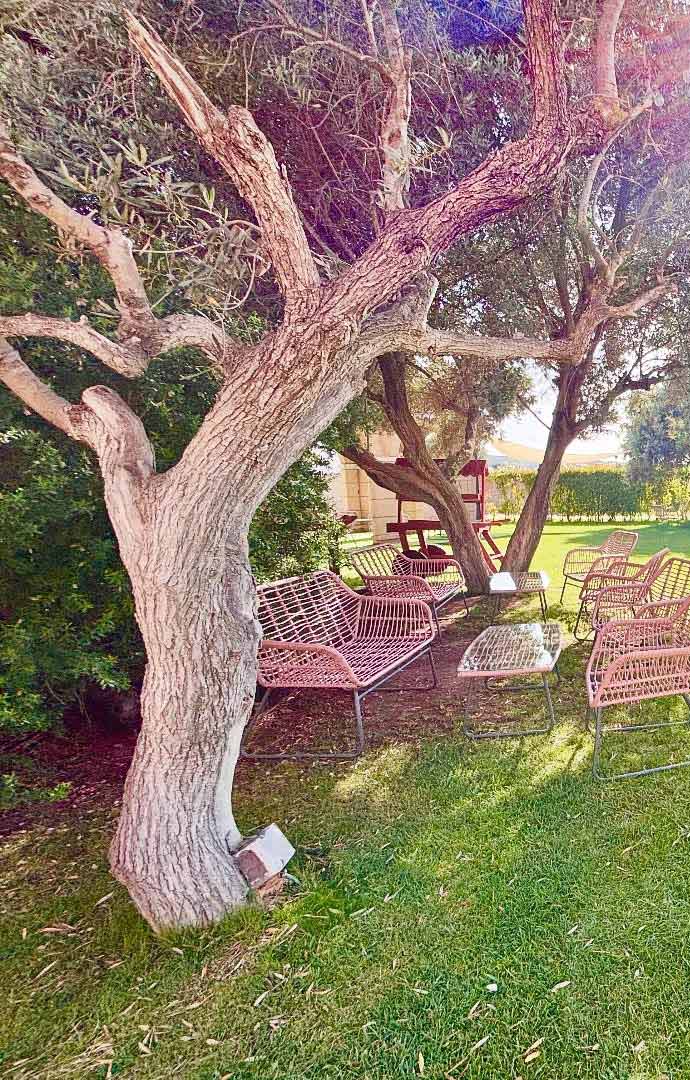 RINCONES FINCA LA REINA